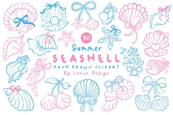 Download Summer Seashell PNG Line Art Bundle - Bundle Collection