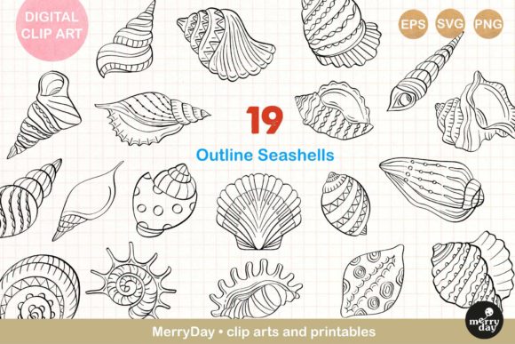 Download 19 Seashell Line Art Drawings. - Drawing Collection