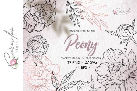 Download Peonies Line Drawing, Floral Line Art - Drawing Collection
