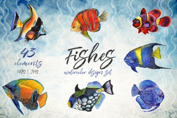 Download Sea Fishes PNG Watercolor Set - Fish Collection