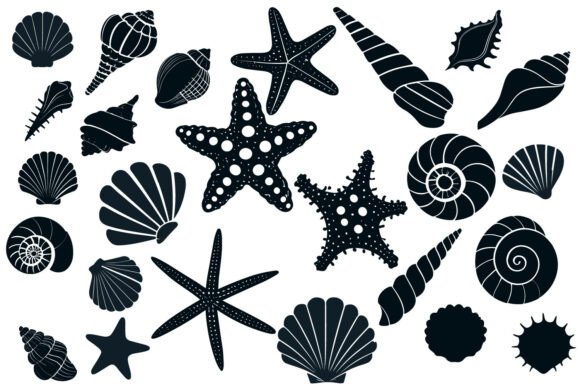 Download Sea Shell Starfish Beach SVG Silhouette - Fish Collection