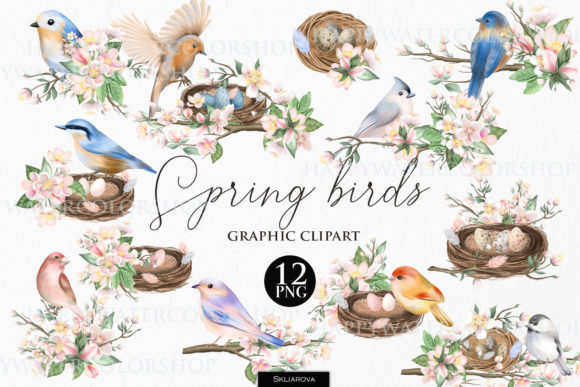 Download Spring Birds and Flowers - Spring birds Collection