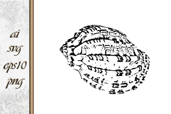 Download Doodle Shellfish Hand Drawn Sketch Vecto - Fish Collection