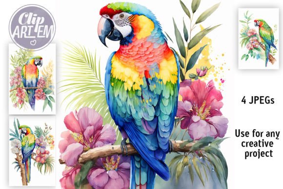 Download Tropical Parrot 4 JPEG Bundle Wall Art - Bundle Collection