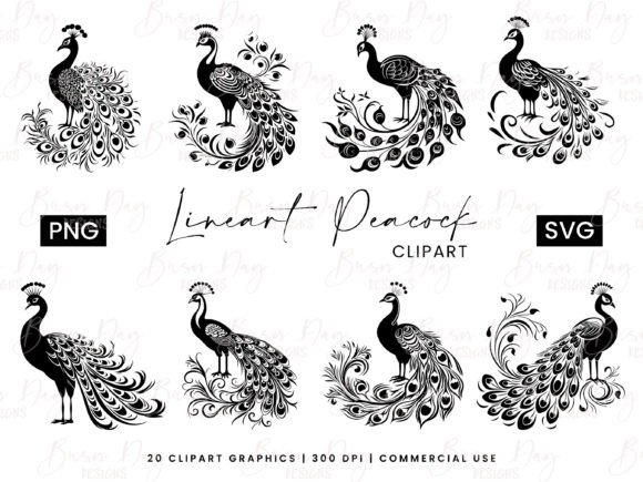 Download Lineart Peacock Clipart Bundle - Bundle Collection
